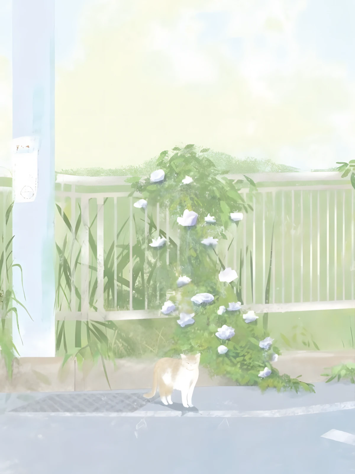 'Cats ><'
